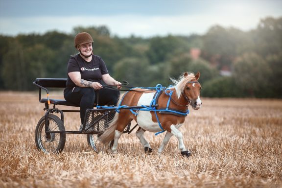 Eine Person fährt mit einem kleinen Pferd in einer Kutsche über ein Feld.