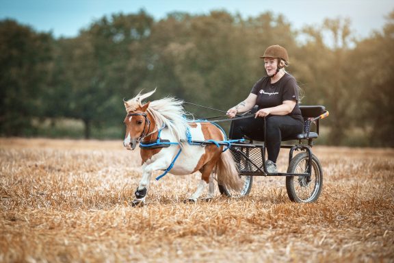 Eine Person fährt mit einem kleinen Pony in einem Wagen durch ein Feld.