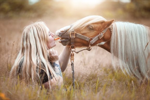 Ein Mädchen kniet im Gras und füttert ein Pferd mit einer Karotte.
